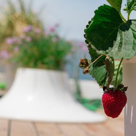 Apartmán Dreamy Aegean View Atény Exteriér fotografie