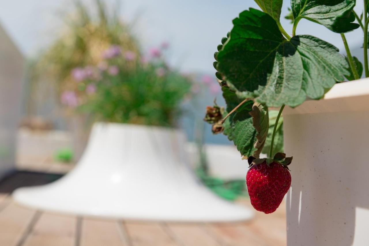 Apartmán Dreamy Aegean View Atény Exteriér fotografie